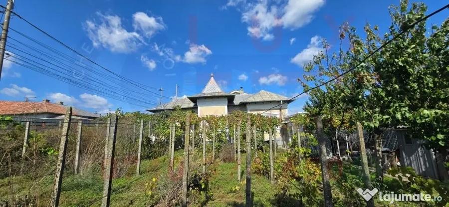 Casă cu 3 camere cu Teren 532 Mp în Păcii