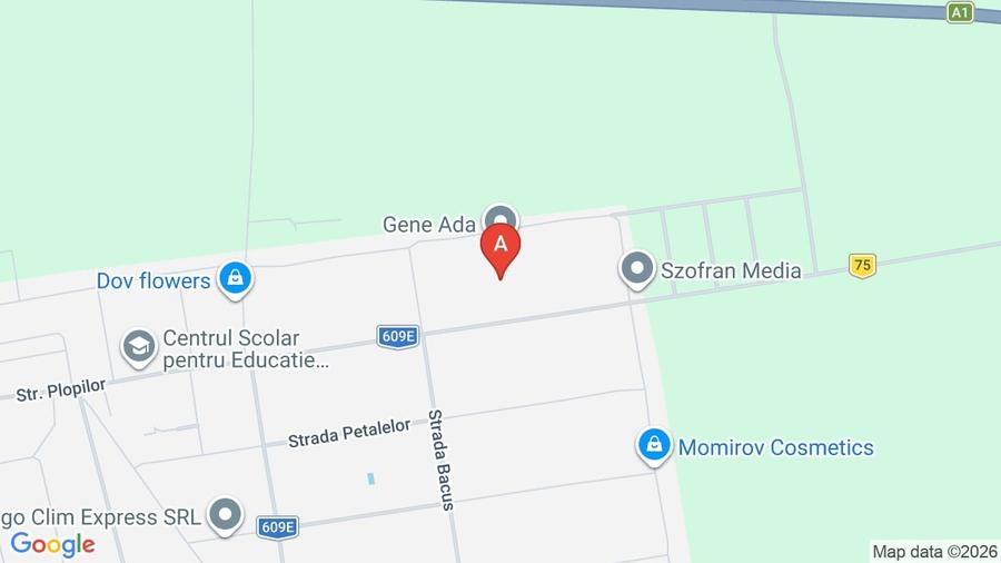 Teren Intravilan Recas - 3