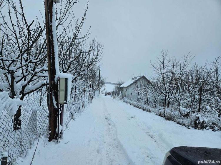 Ferma Calugareni 11860 mp 100 000 Euro - 7