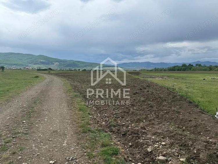 Teren extravilan de vanzare in Barabant, 5000 mp. - 1