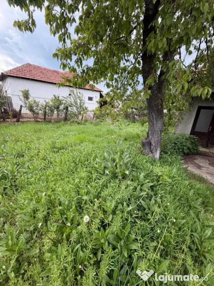 Casa de vanzare ,90 mp constructie ,teren 650mp ,str Rozelor - 1