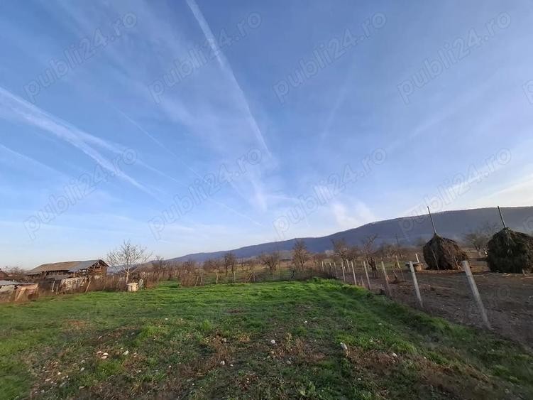 Teren 4.443 mp(intr+extra)+constructii vechi Nicolae Balcescu, Ple?oiu jud Valcea - 2