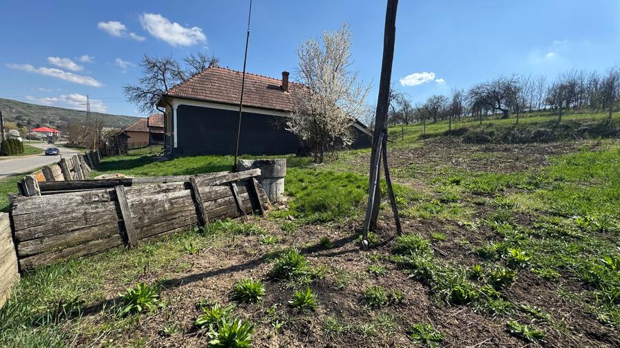 Casa de vanzare cu teren 53 ari - 5