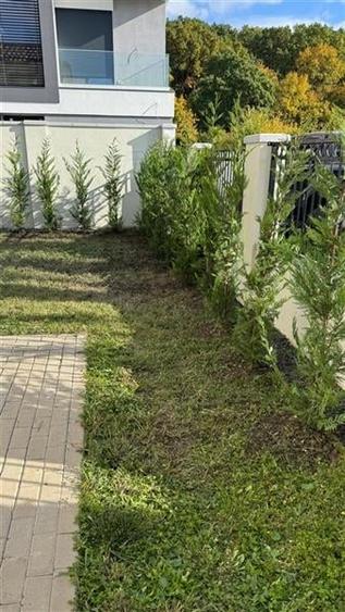 COMISION 0% Duplex despartit prin garaj liziera padurii Dumbravita - 23