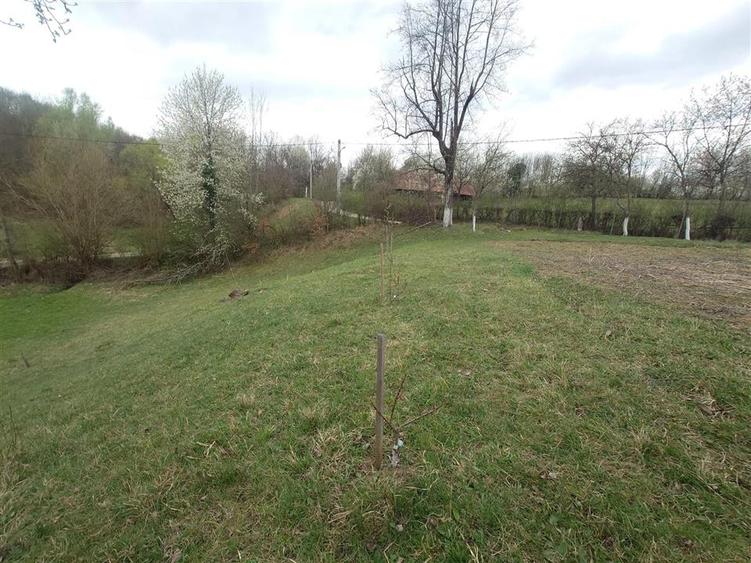 10 000 mp teren intravilan cu priveliste - 3