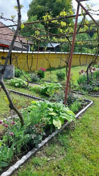 Casa de vanzare in Curita,com.Casin,jud.Bacau - 8