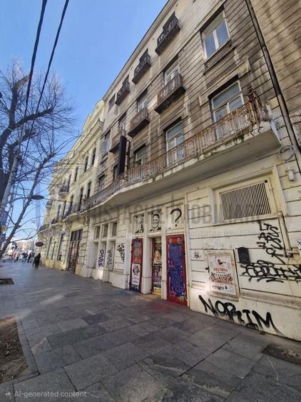 Spatiu comercial stradal Regina Elisabeta - 13