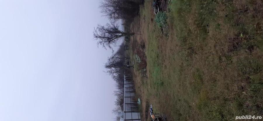 Casa si teren de vanzar - 3