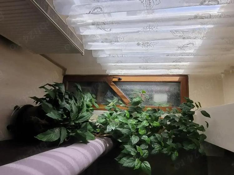 Apartament 3 camere, Bistrita, zona Spitalul Judetean - 1