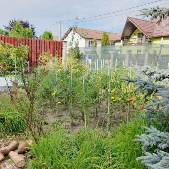 Casa de vanzare in Cristian - 4