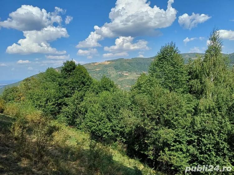 Teren de 3000 mp, în Măguri