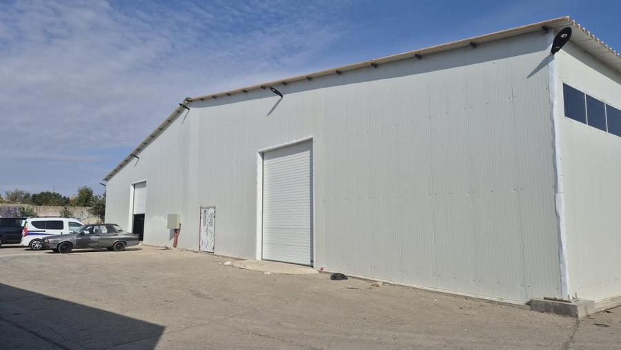 HALA | HALTA TRAIAN | SERVICE | DEPOZITARE - 1