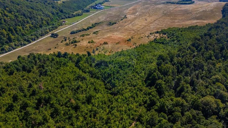 Teren 6,000mp Crizbav / Strada principala - 5