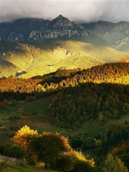 7.000 mp, pozitie spectaculoasa, fara vecini, Fundatica, Brasov - 7