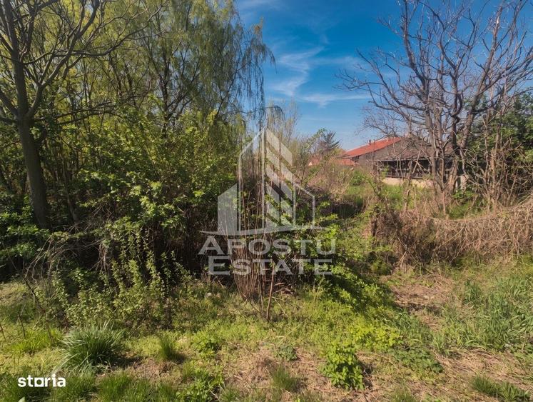 Teren Pe Malul Raului Aranca Sannicolau Mare 0% Comision Cumparator - 5