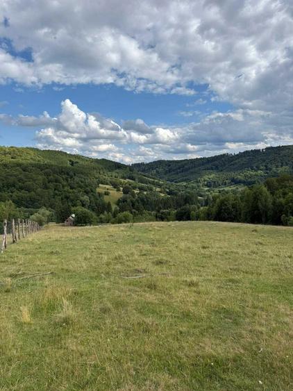Teren intravilan 21.846mp imprejmuit | Intorsura Buzaului - 4