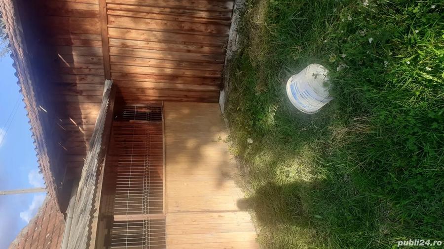 Casa la ?ara de vanzare - 4