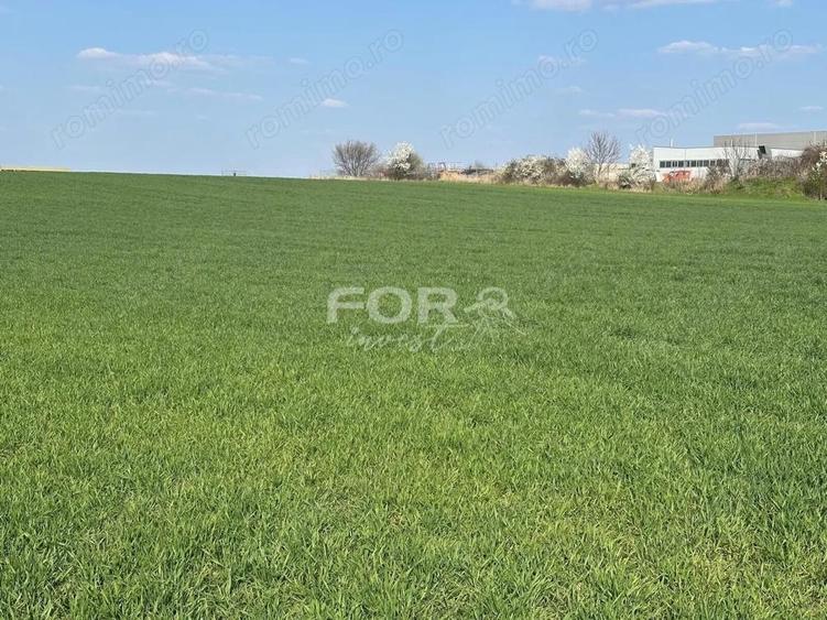 Teren intravilan de vanzare 1000 mp zona Aeroport Oradea - 4