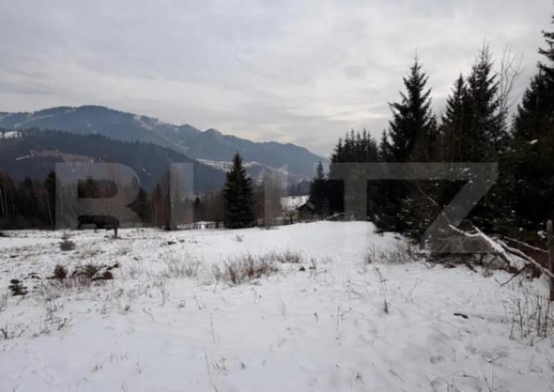 Eren intravilan 10746 mp, front 58 ml, localitatea Pojorata - 2