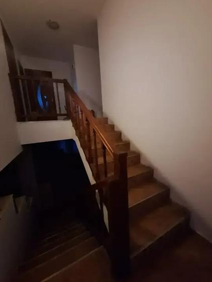 2 Vile 4 camere tip duplex, Adunații Copăceni - 15