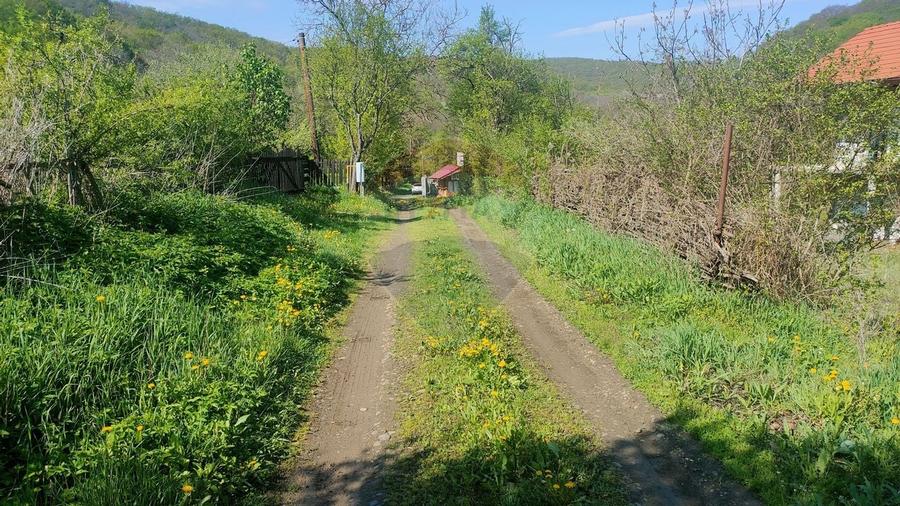 Teren de vis în Stejeriș – utilități, natură, acces rapid! - 6