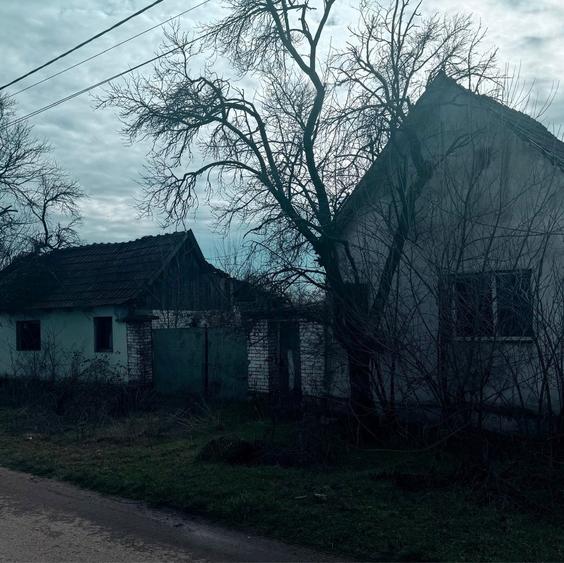 Casa de vanzare in sat Rapsig jud Arad cu 1400 m2 pamant - 6