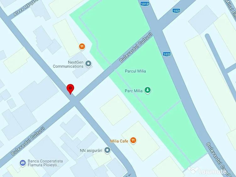 Spatiu comercial ultracentral, Campina, PH, Parc central, Bdul Carol I - 9