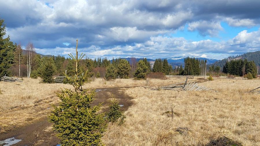 Teren de vanzare Saru Dornei 2euro / mp - 4