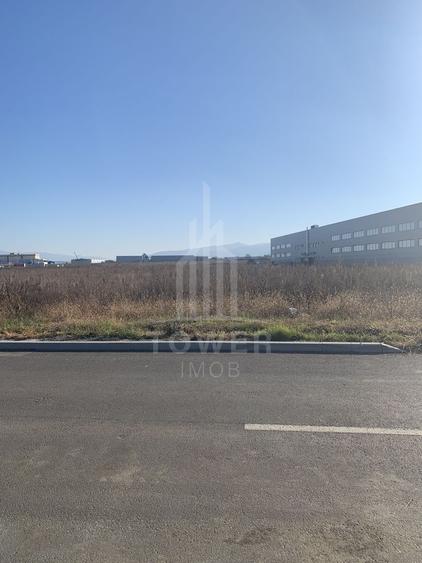 TEREN INTRAVILAN - ZONA INDUSTRIALA VEST-9000 mp, sau 18000 mp - 5