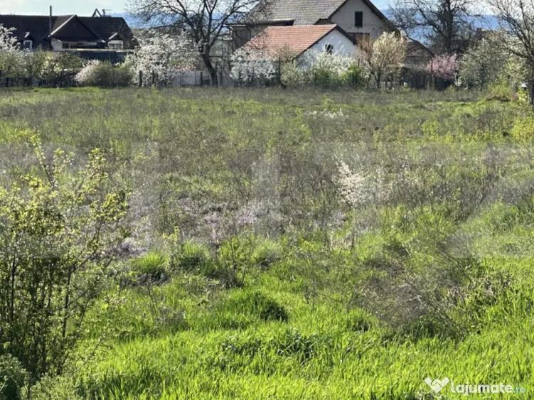 ???? Teren intravilan 6.109 mp zona centrala Simeria, - 3