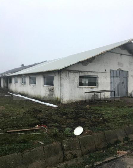 Hala Industriala, 175 mp, zona Exterior Sud - 11