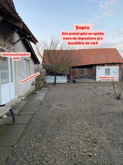 Vand sau schimb, 1439 mp, sat Bodo - 9