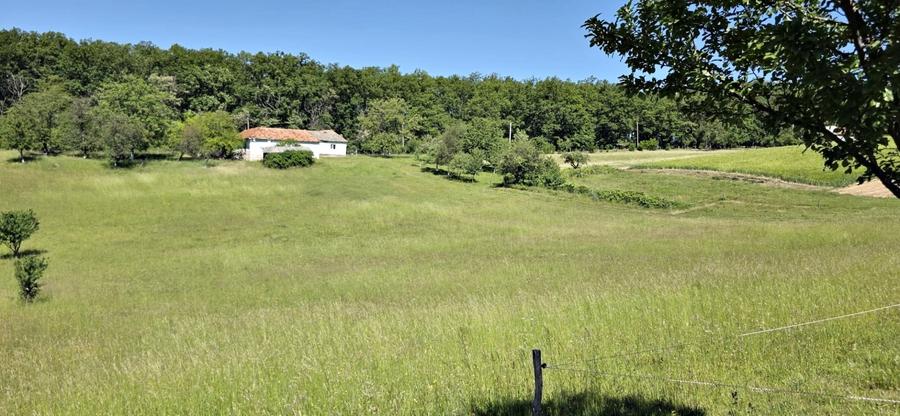 Casa de vanzare si teren de 24000 mp in Fasca, langa padure, 45 km de Oradea - 5