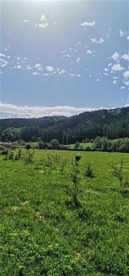 Parcela cu proiect rezidential, in proximitatea zonei impadurite Bradet, Sacele, - 7