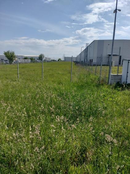 Teren intravilan Strada Narciselor suprafata de 6250mp - 3