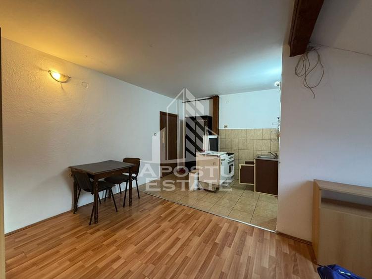 Apartament cu 1 camera, de inchiriat, zona Aradului, Timisoara - 3