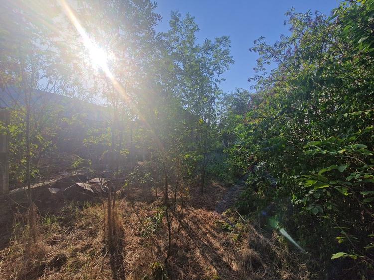 Cornetu stradal, vanzare teren intravilan 1.600mp - 15