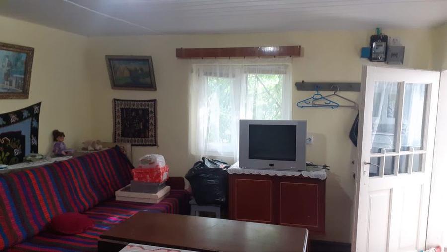 Casa de vanzare in Pietroasele, Buzau - 6