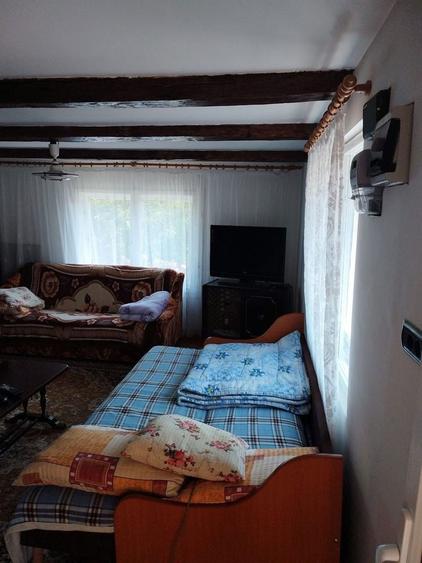 Vand casa in jud. Timis, com Margina, sat Costeiu de sus - 7