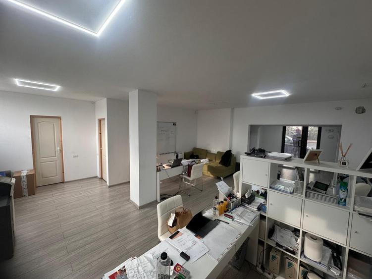 SAD zona Lipovei Dedeman - 1