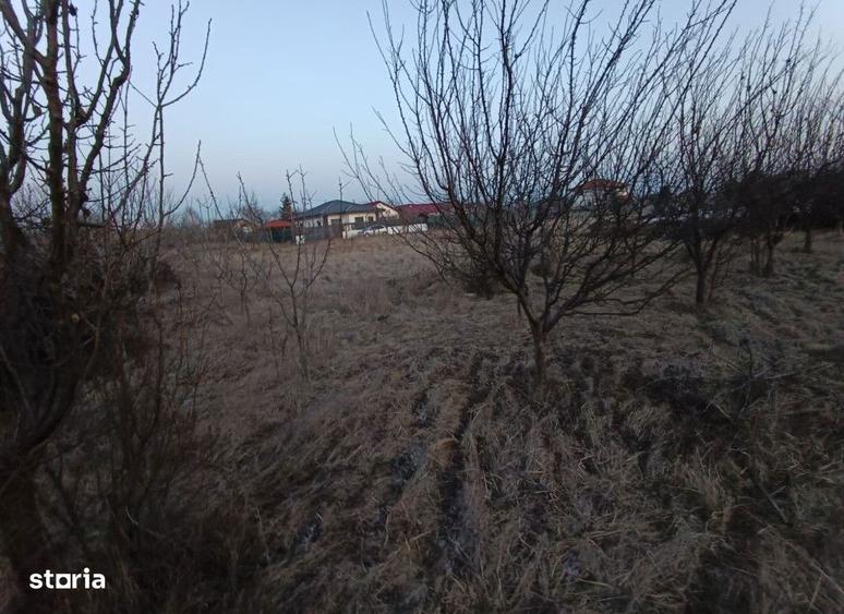 Teren intravilan Miroslava , 600 metri Cod:161312 - 5