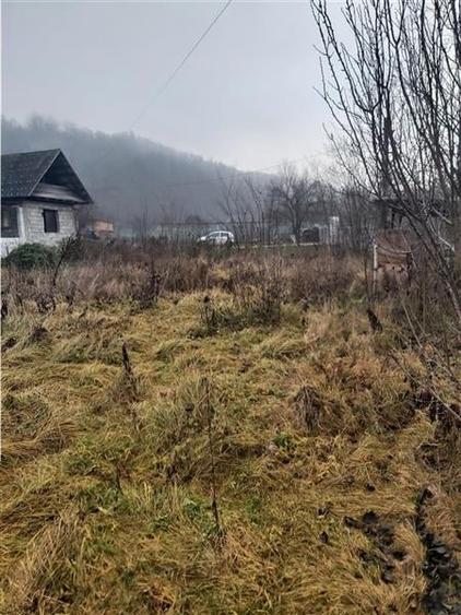 CASA cu  Teren de vanzare in EXCLUSIVITATE Stefan Cel Mare- jud Bacau - 2