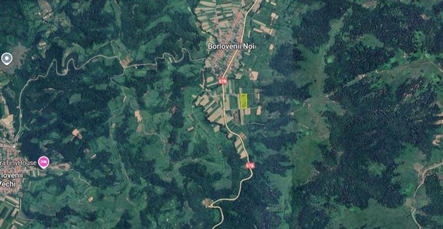 Borlovenii Noi, Teren Drept, 16000mp, la Limita Localitatii - 6