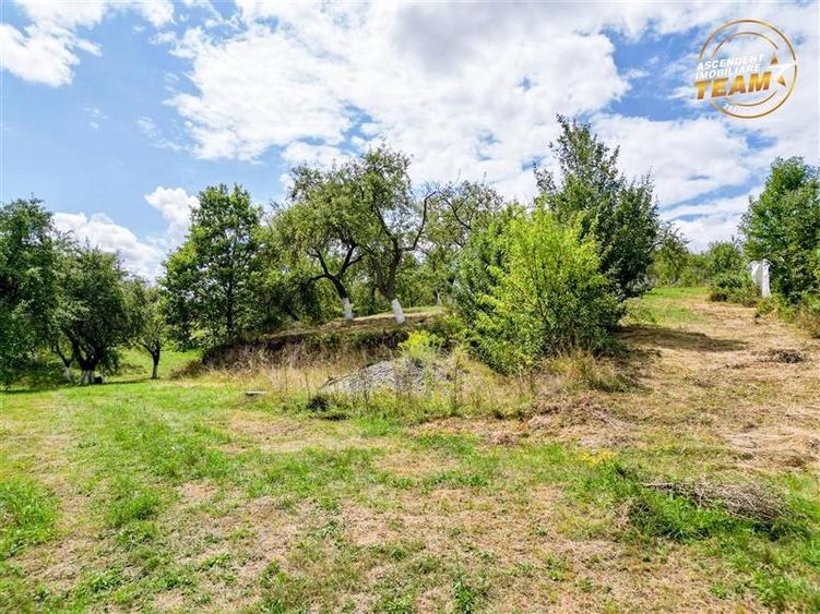 FILM! 4.500 mp,extravilan,livada,in Sancraiu,Covasna,acces facil,pomi fructiferi - 4