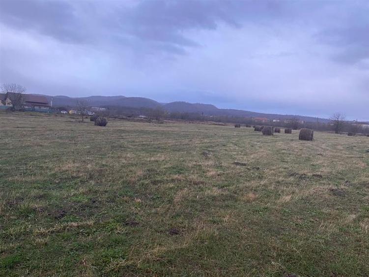 Caransebes, Teren Drept 5087 Mp. Ideal pt Casa 20 Euro Mp. Racovita - 6