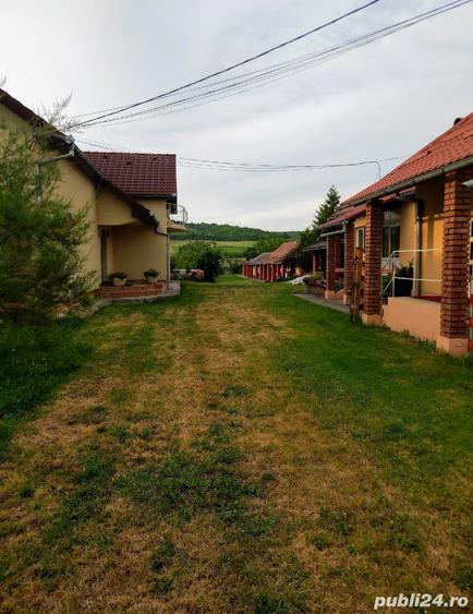 2 case finisate+1ha teren+ lac in ?intereag - 3