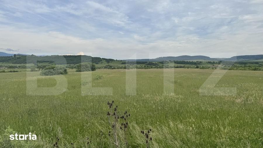 Teren de 5500 mp, în Livezile