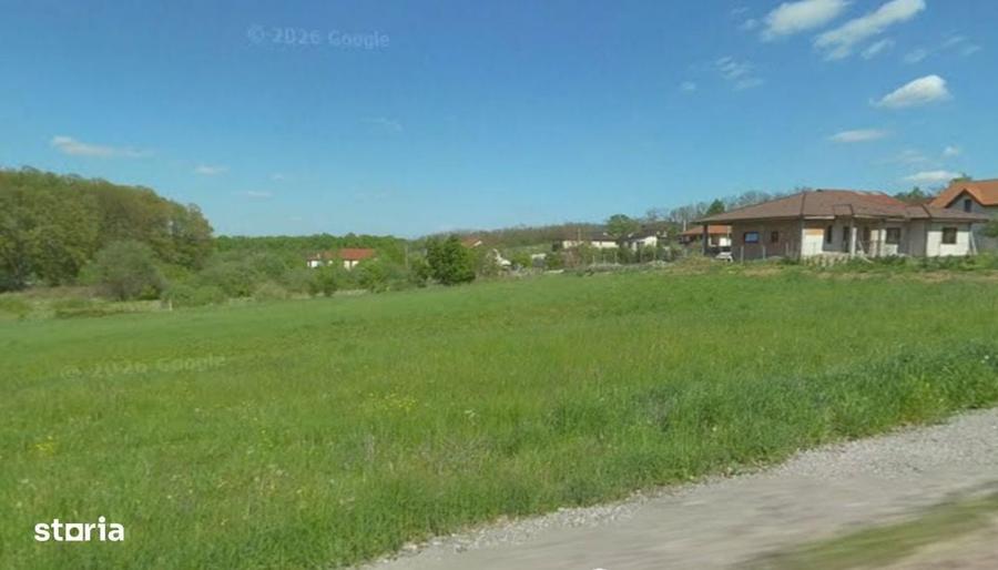 Vand teren intravilan 11,55 Ari in Viile Satu Mare - 2