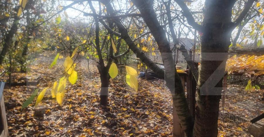 Casa unifamiliala complet mobilata ?i utilata gata pen - 7