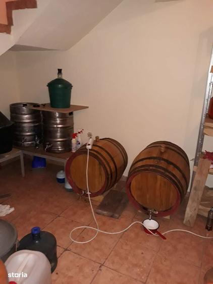 Vanzare casa cu livada - 2